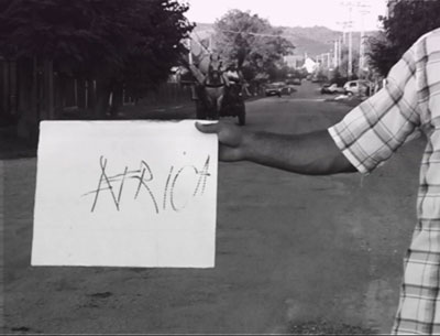 on the road of life img